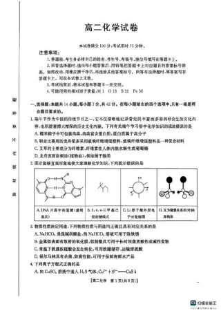 湖南省衡阳市2024-2025学年高二下学期7月期末考试化学试题（含答案）.pdf