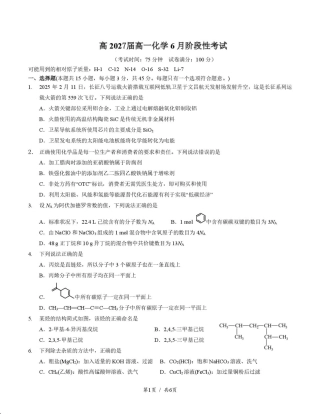 四川省成都市第七中学2024-2025学年高一下学期6月月考化学+答案.pdf