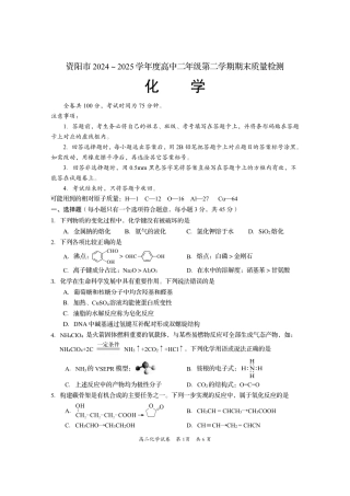 四川省资阳市2024-2025学年高二下学期期末质量监测化学.pdf
