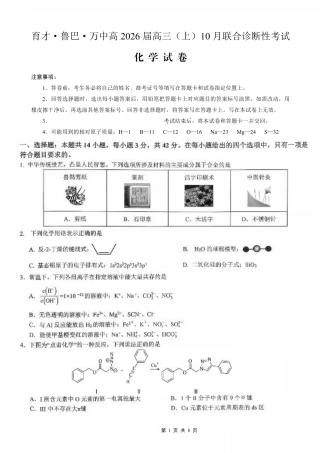 育才·鲁巴·万中高2026届高三（上）10月联合诊断性考试化学.pdf