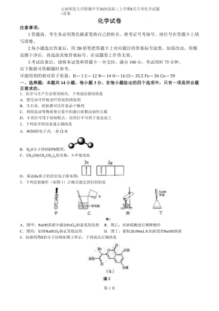 云南省昆明市云南师范大学附属中学2024-2025学年高三上学期8月月考化学试题（PDF版，含解析）.pdf