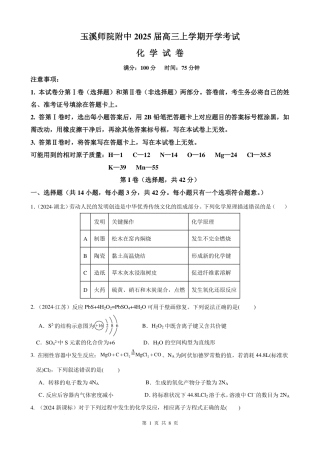 云南玉溪师范学院附属中学2024-2025学年高三上学期开学检测化学试卷（PDF版含答案）.pdf