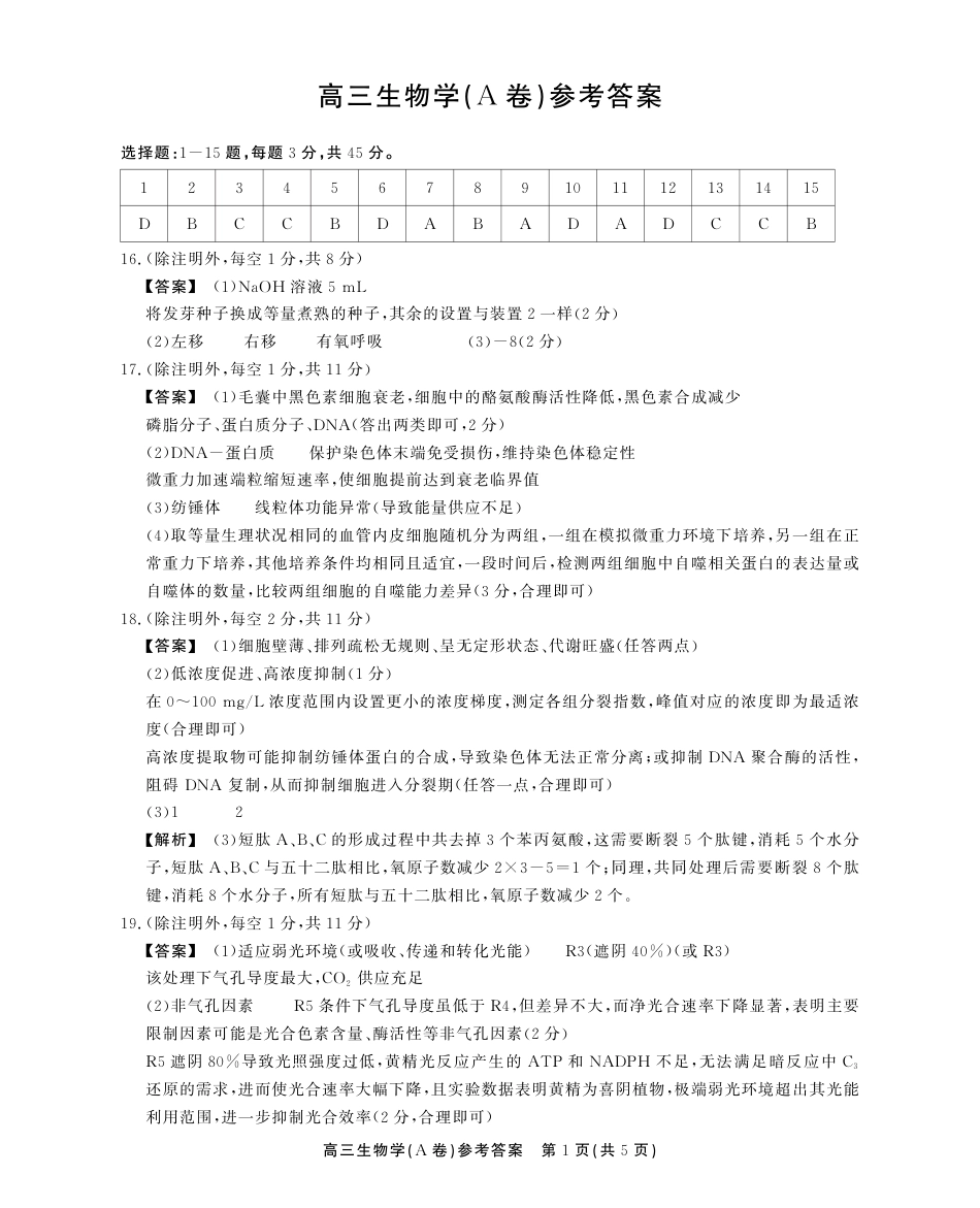 2025-2026学年鼎尖名校大联考生物(A)答案.pdf_第1页
