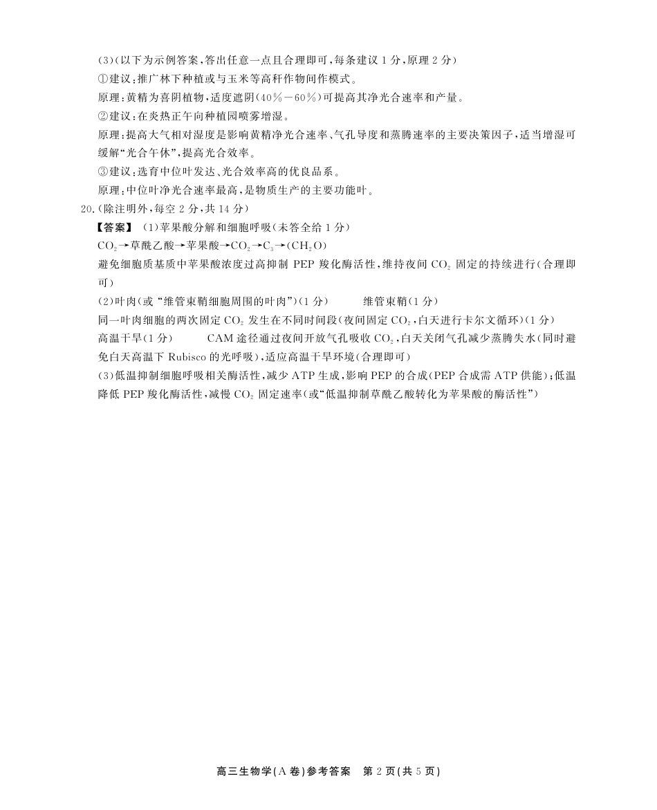 2025-2026学年鼎尖名校大联考生物(A)答案.pdf_第2页