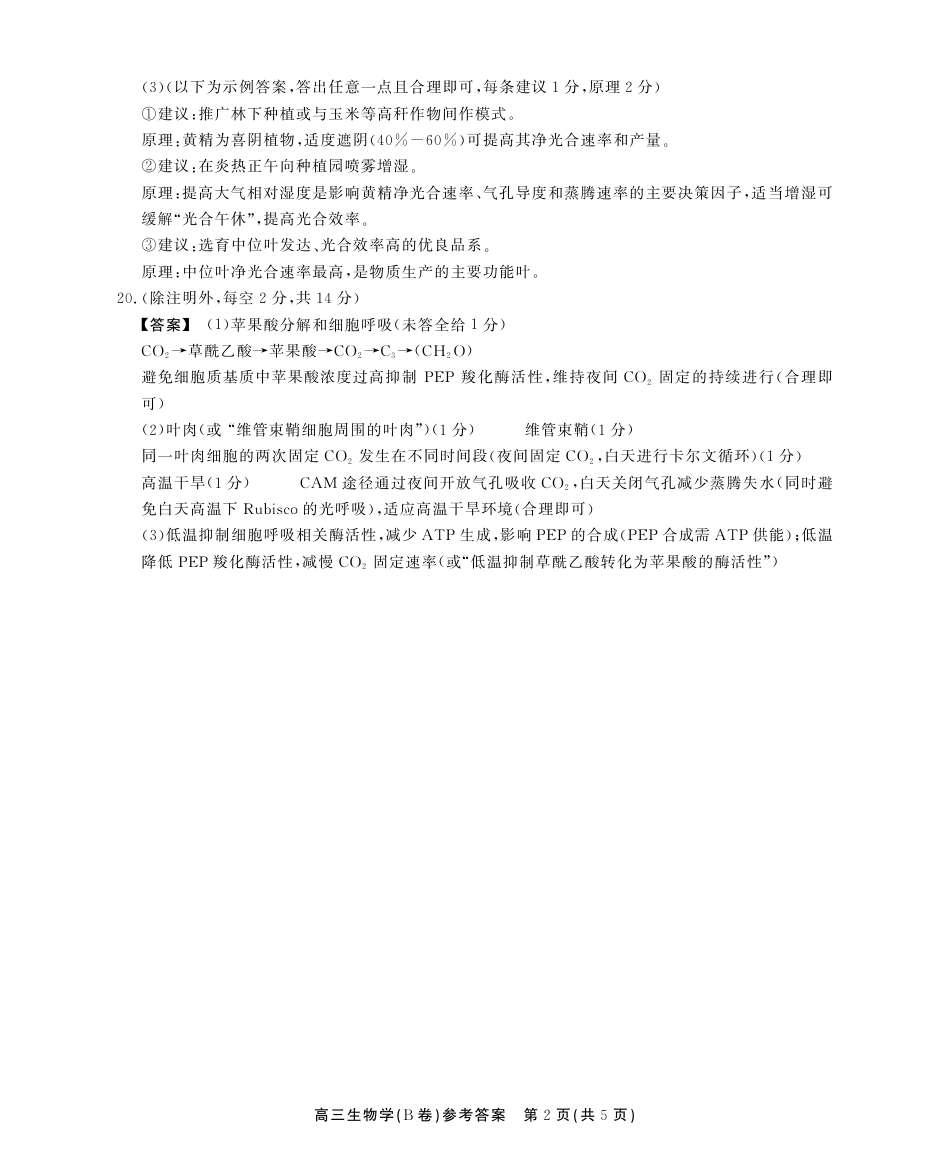 2025-2026学年鼎尖名校大联考生物(B)答案.pdf_第2页
