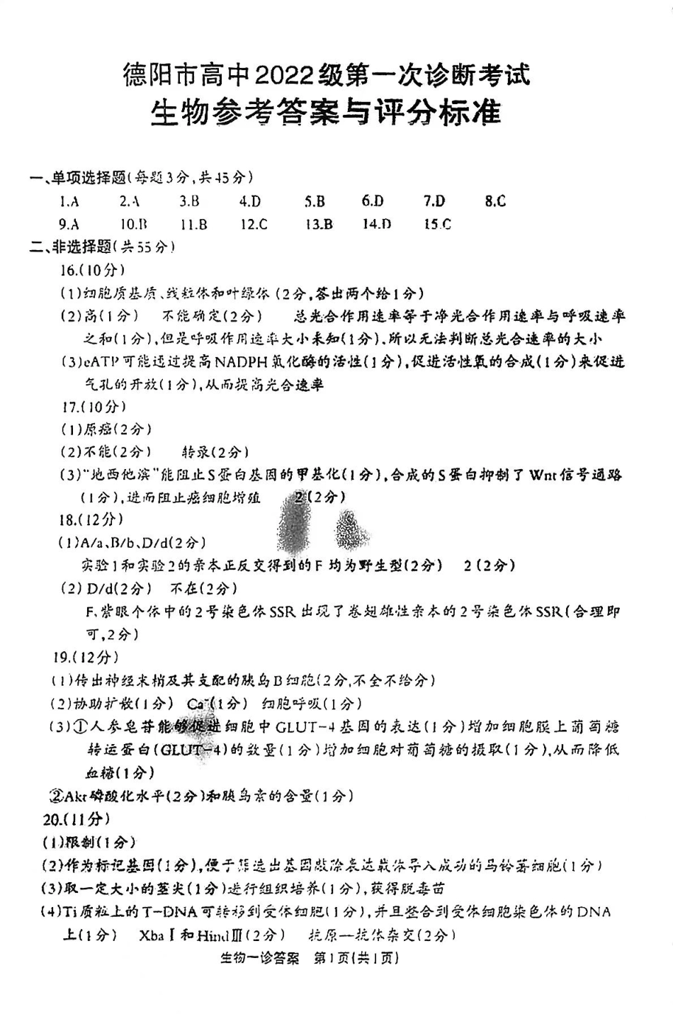 2025届四川省德阳市高三第一次诊断考试生物_生物答案.pdf_第1页