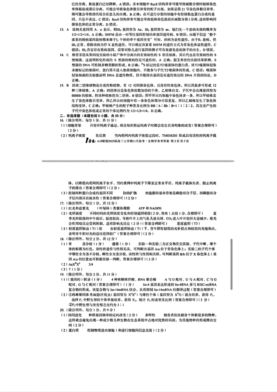 安徽A10联盟2025届高三上学期11月段考生物_生物参考答案.pdf_第2页