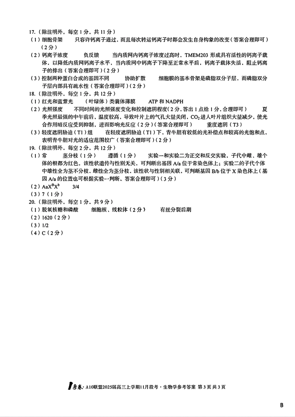 安徽A10联盟2025届高三上学期11月段考生物_生物参考答案B.pdf_第3页