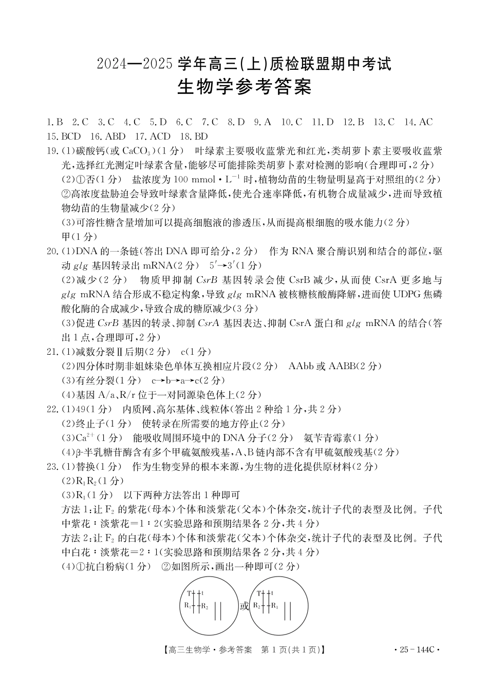 河北省邢台市质检联盟2024-2025学年高三上学期11月期中生物_生物答案.pdf_第1页