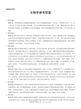 名校教研联盟2025届高三12月联考 生物参考答案.pdf.pdf