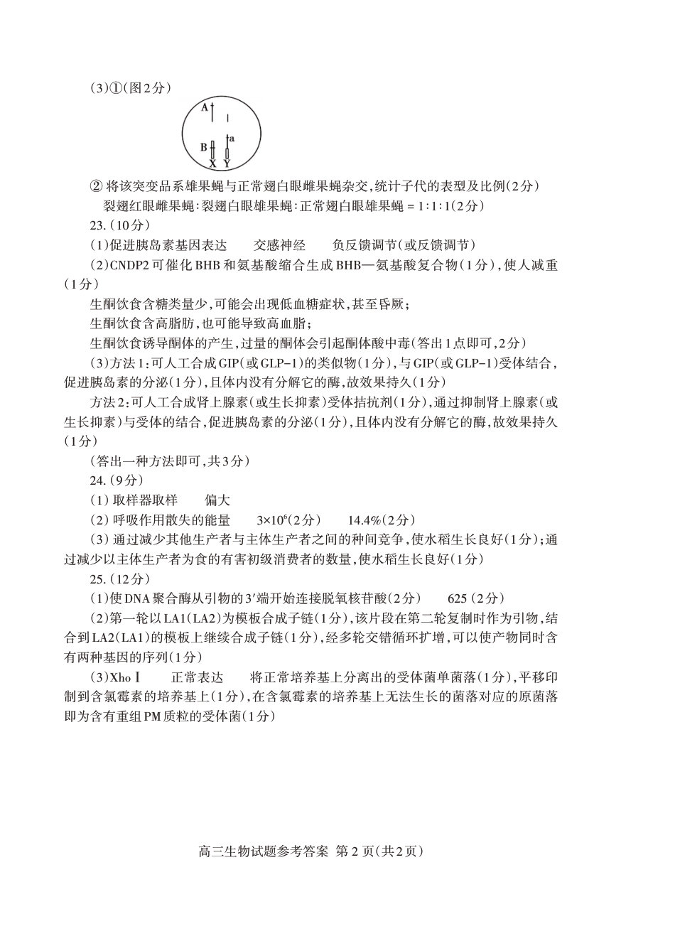 山东省泰安市2025届高三二轮模拟检测考试（泰安二模）（全科）_生物试卷答案.pdf_第2页