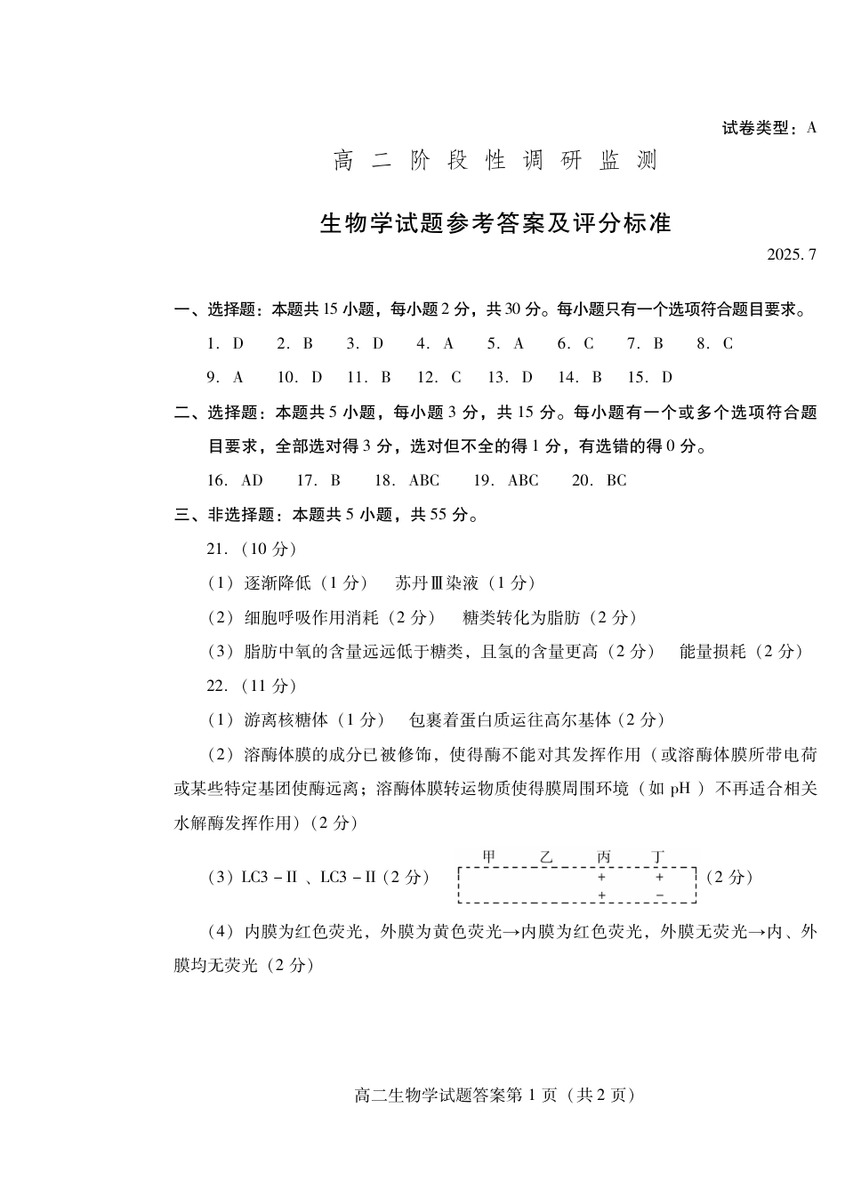山东省潍坊市2026届高二阶段性调研监测（高二下学期期末）(全科）_生物试卷(高二下期末考7.8-7.10) 答案                         .pdf_第1页