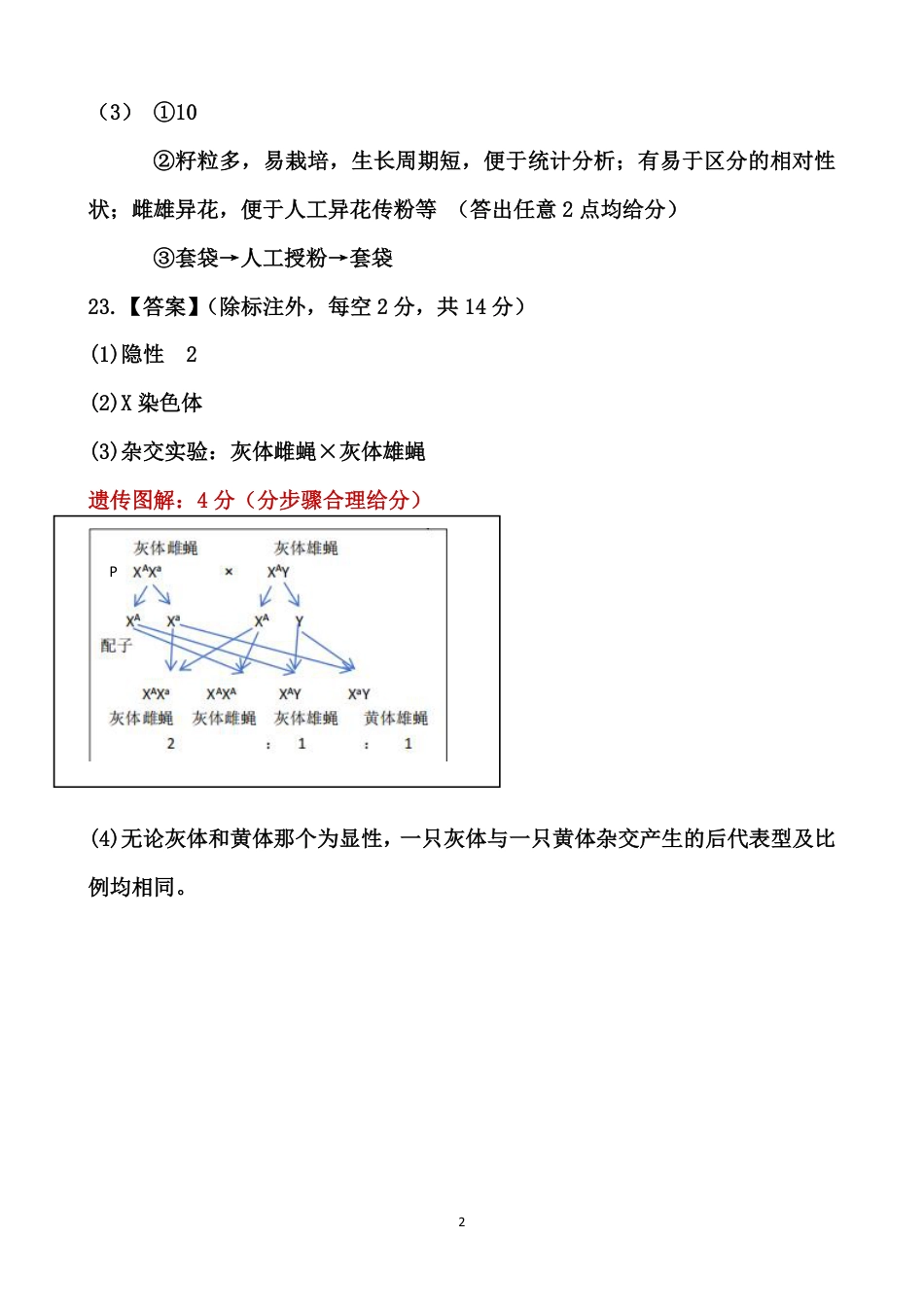 山西省大同市第一中学校2024-2025学年高三上学期9月月考生物试卷答案.pdf_第2页