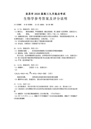 宜昌市2026届高三九月起点考试生物答案.pdf