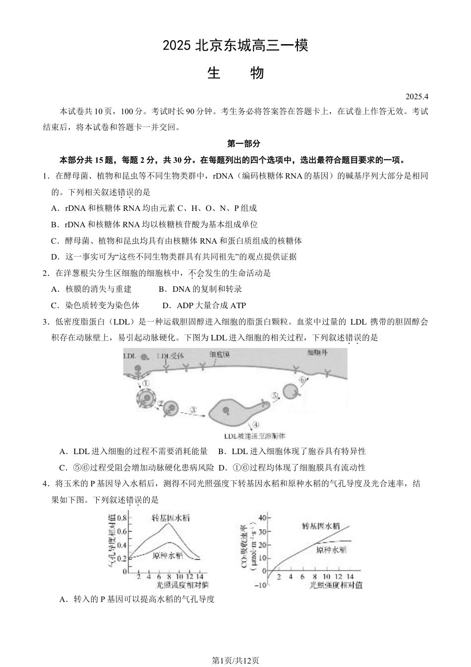2025北京东城高三一模生物试题及答案.pdf_第1页