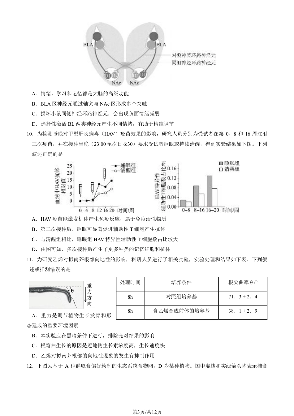 2025北京东城高三一模生物试题及答案.pdf_第3页