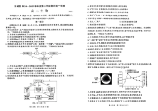北京市东城区2024-2025学年度高二第二学期期末统一检测生物学试卷（含答案）.pdf
