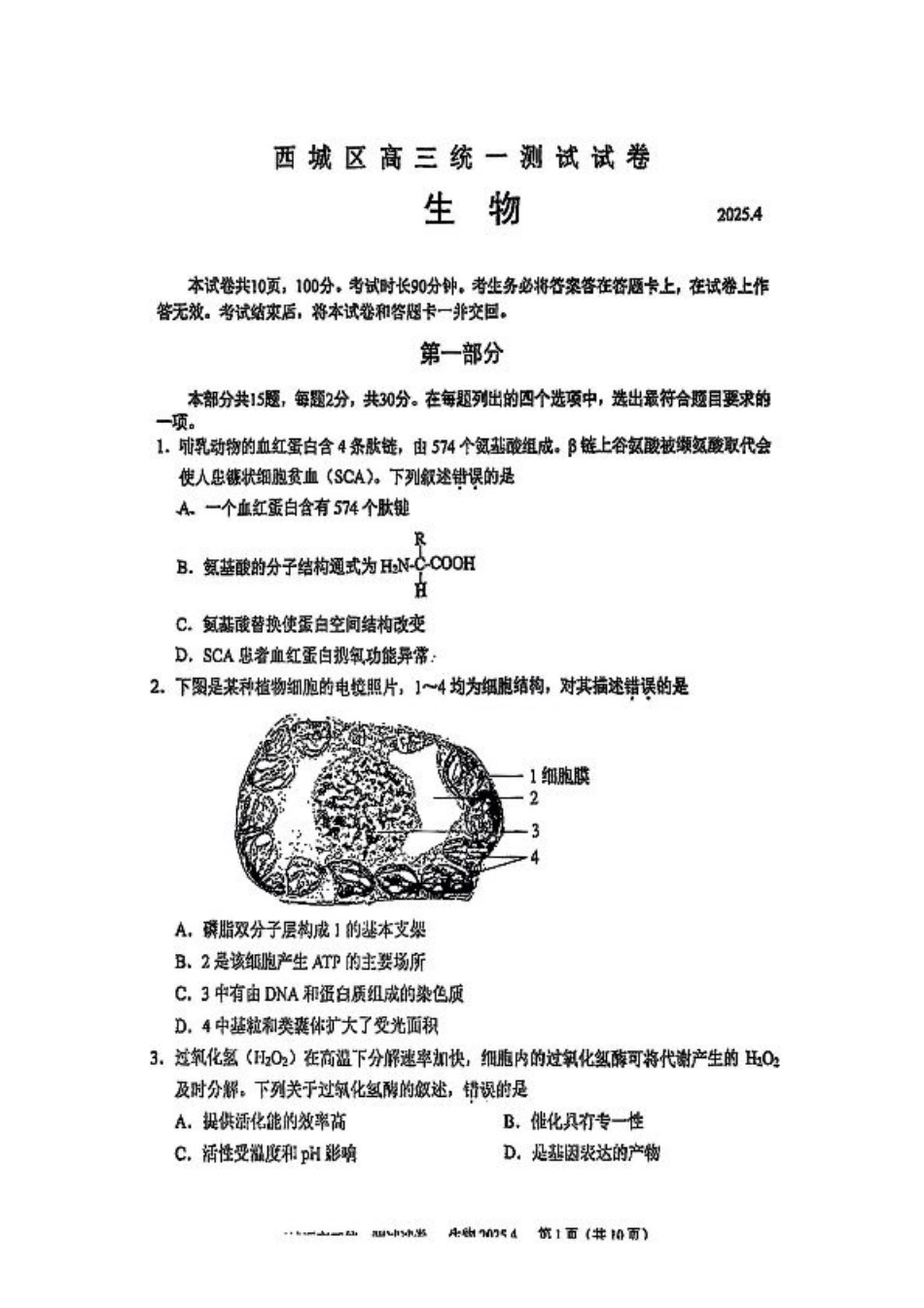 2025北京西城高三一模生物试题及答案.pdf_第1页
