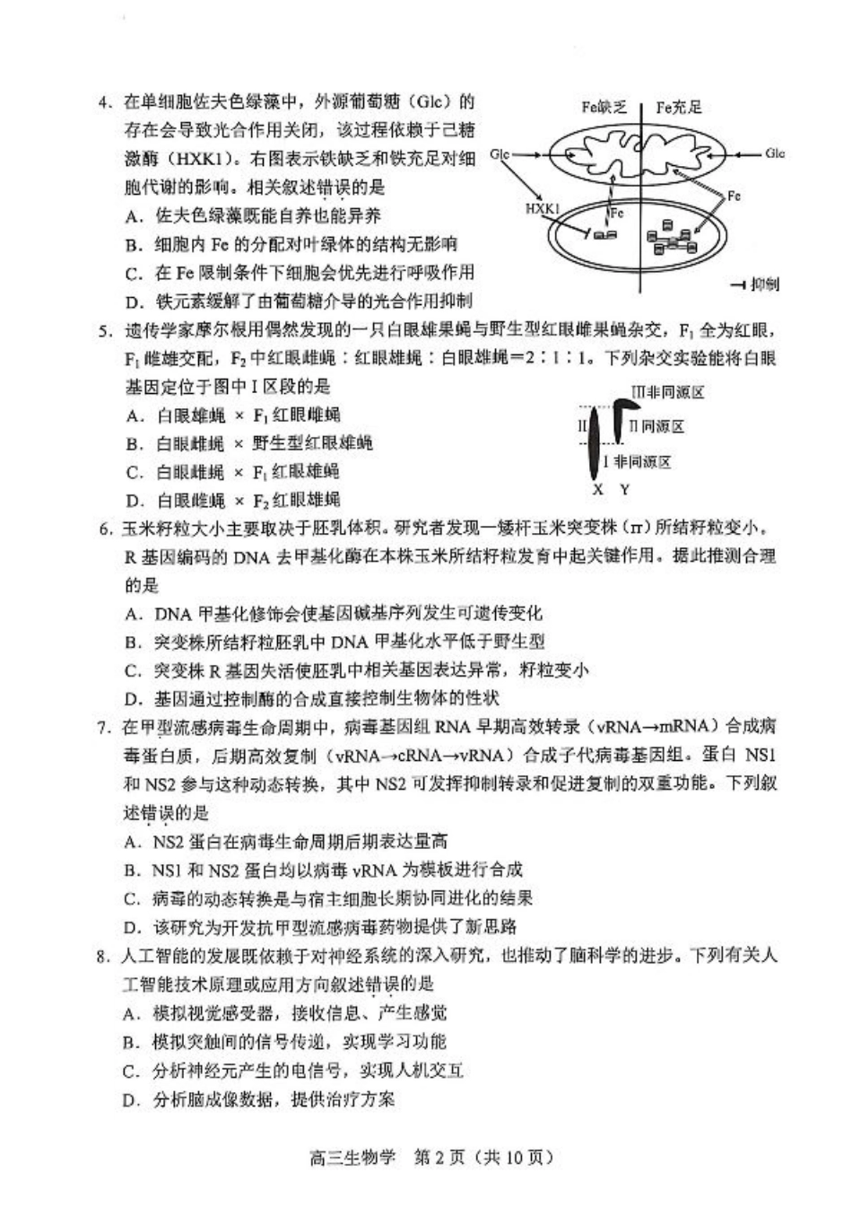 2025北京丰台高三一模生物试题及答案.pdf_第2页