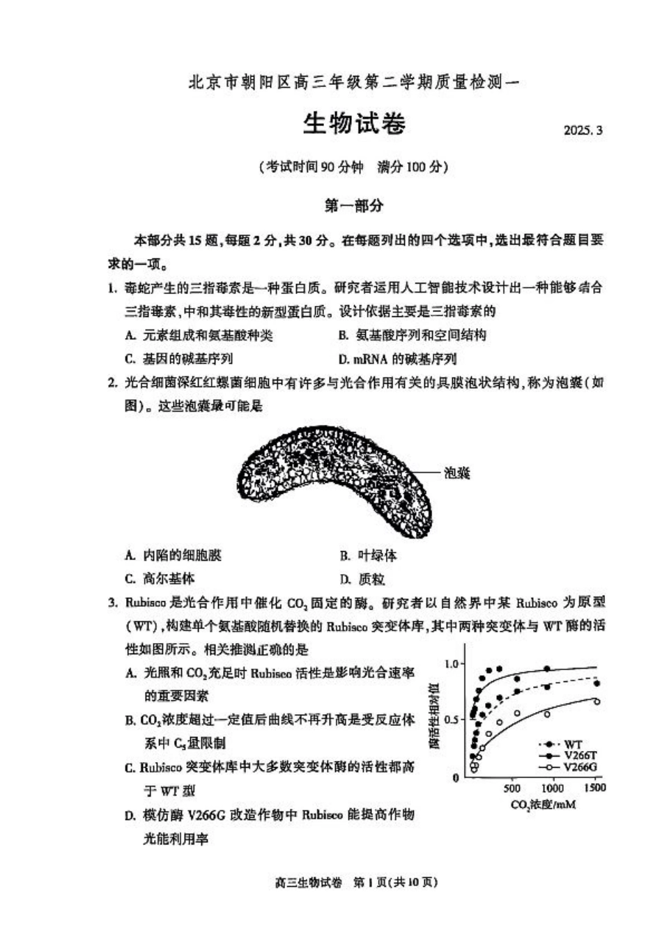 2025北京朝阳高三一模生物试题及答案.pdf_第1页