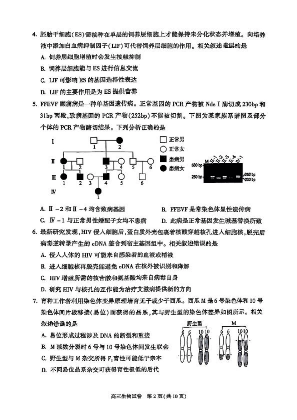 2025北京朝阳高三一模生物试题及答案.pdf_第2页