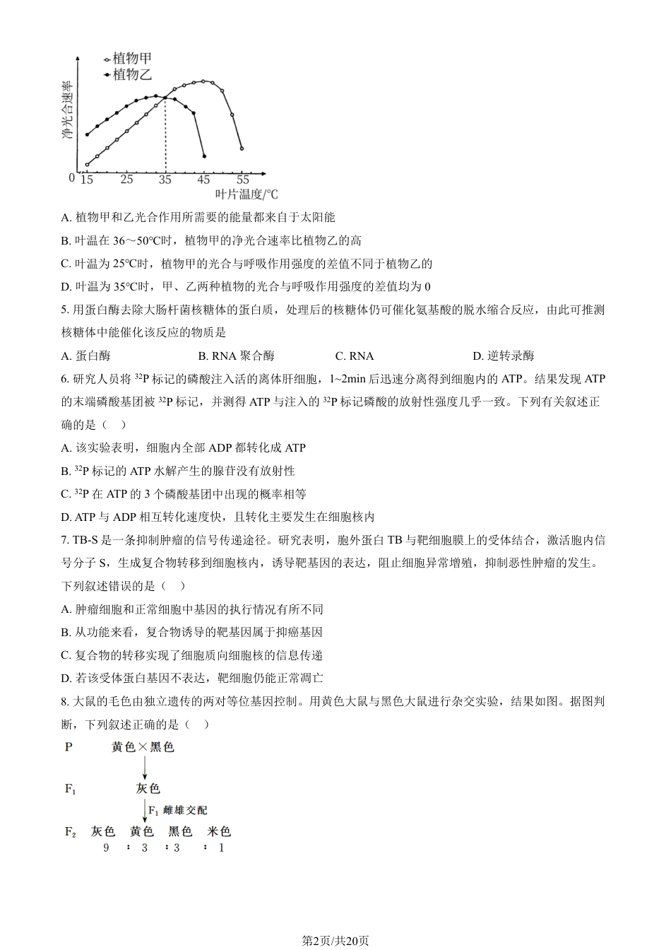 2024北京通州高三（上）期中生物试题及答案.pdf_第2页