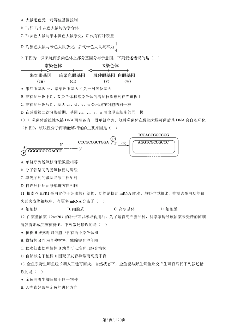 2024北京通州高三（上）期中生物试题及答案.pdf_第3页