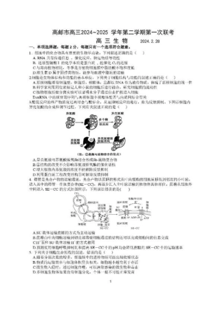 江苏省高邮市2024-2025学年高三下学期第一次联考生物试题+答案.pdf