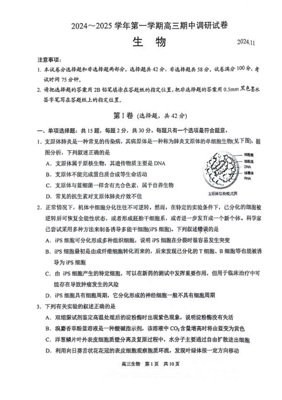 江苏省苏州市2024-2025学年高三上学期11月期中调研生物_生物试卷.pdf_第1页
