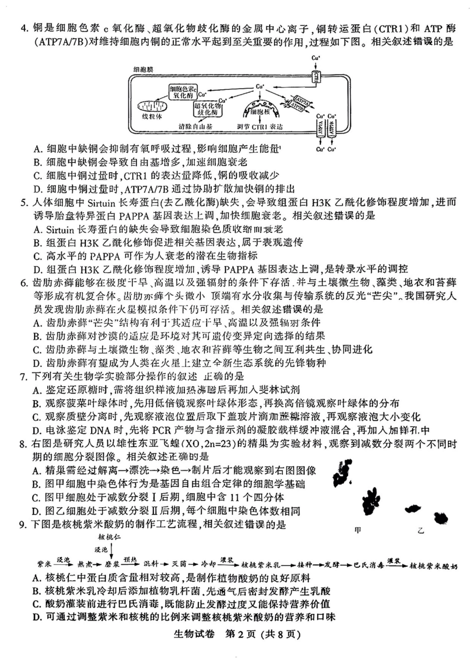 江苏省南通市2024-2025学年高三上学期第一次调研测试生物+答案.pdf_第2页