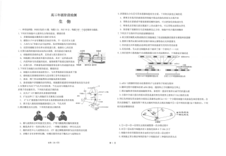 江苏省海安高级中学2024-2025学年高三上学期12月月考生物试题(pdf版，含答案）.pdf