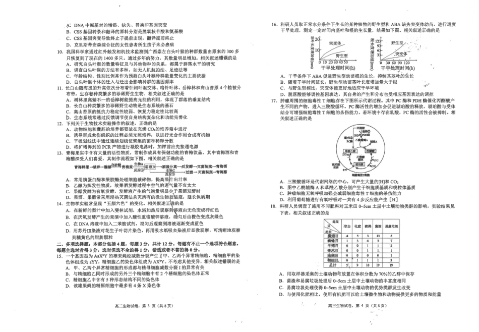 江苏省海安高级中学2024-2025学年高三上学期期中考试生物试题（含答案）.pdf_第2页
