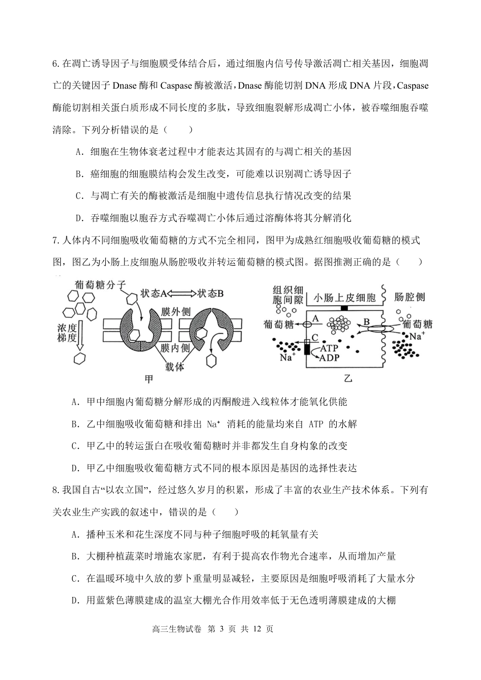 江苏省盐城市五校联考2024-2025学年高三上学期10月月考生物试题.pdf_第3页