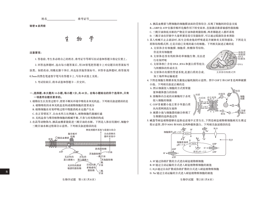 2024-2025学年高三备考核心模拟中期考试试题  生物学_Print.pdf_第1页