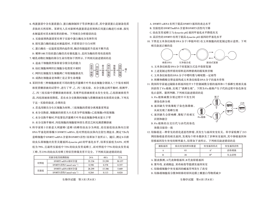2024-2025学年高三备考核心模拟中期考试试题  生物学_Print.pdf_第2页