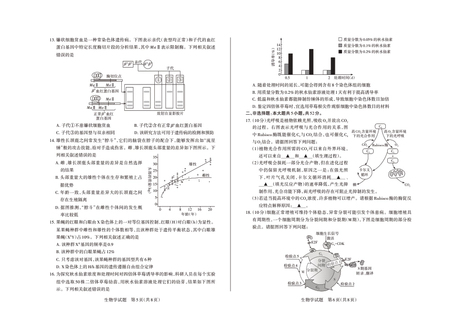 2024-2025学年高三备考核心模拟中期考试试题  生物学_Print.pdf_第3页
