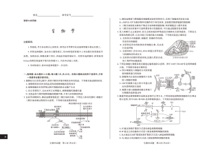 2024-2025学年高三备考核心模拟中期考试试题  生物学_Print.pdf