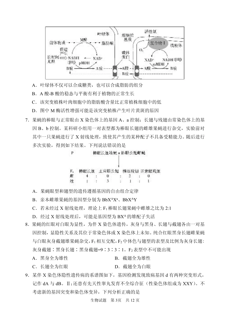 2024年11月高三 实验二诊生物试题.pdf_第3页