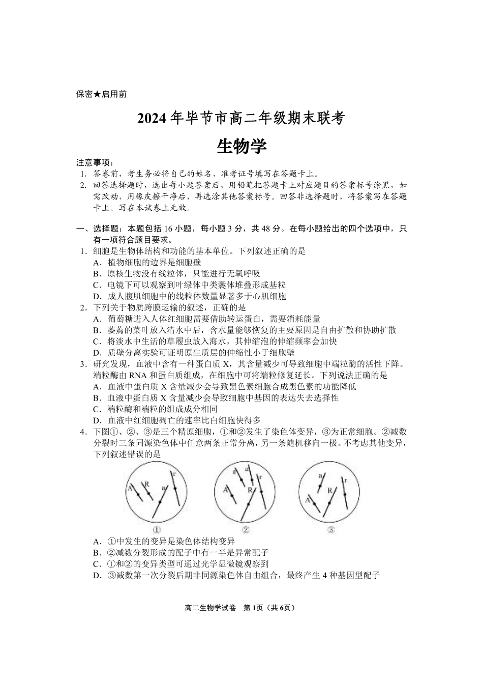 2024年毕节市高二年级期末联考+生物.pdf_第1页