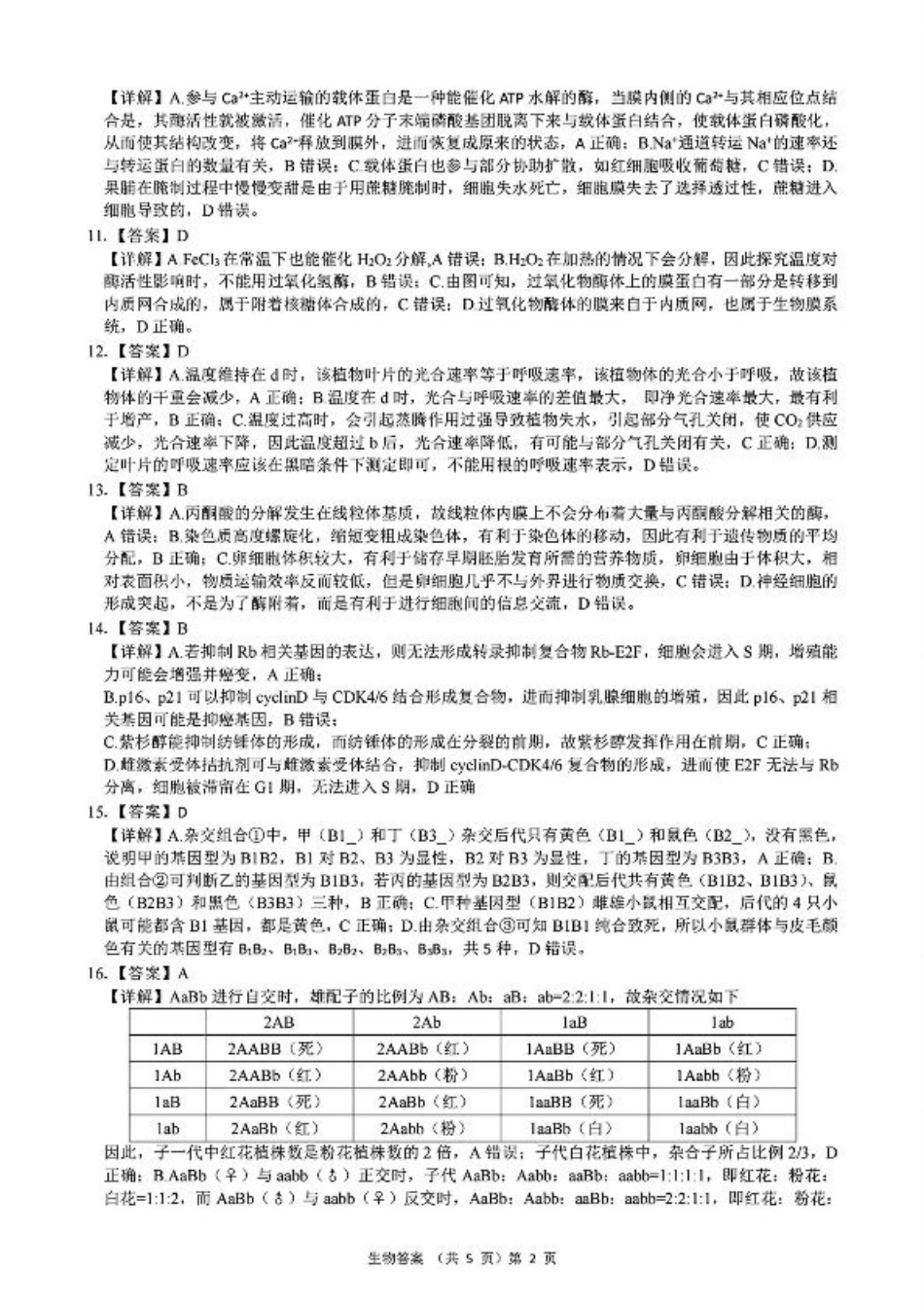 2024年湖北省新八校协作体高三10月联考 生物答案.pdf_第2页