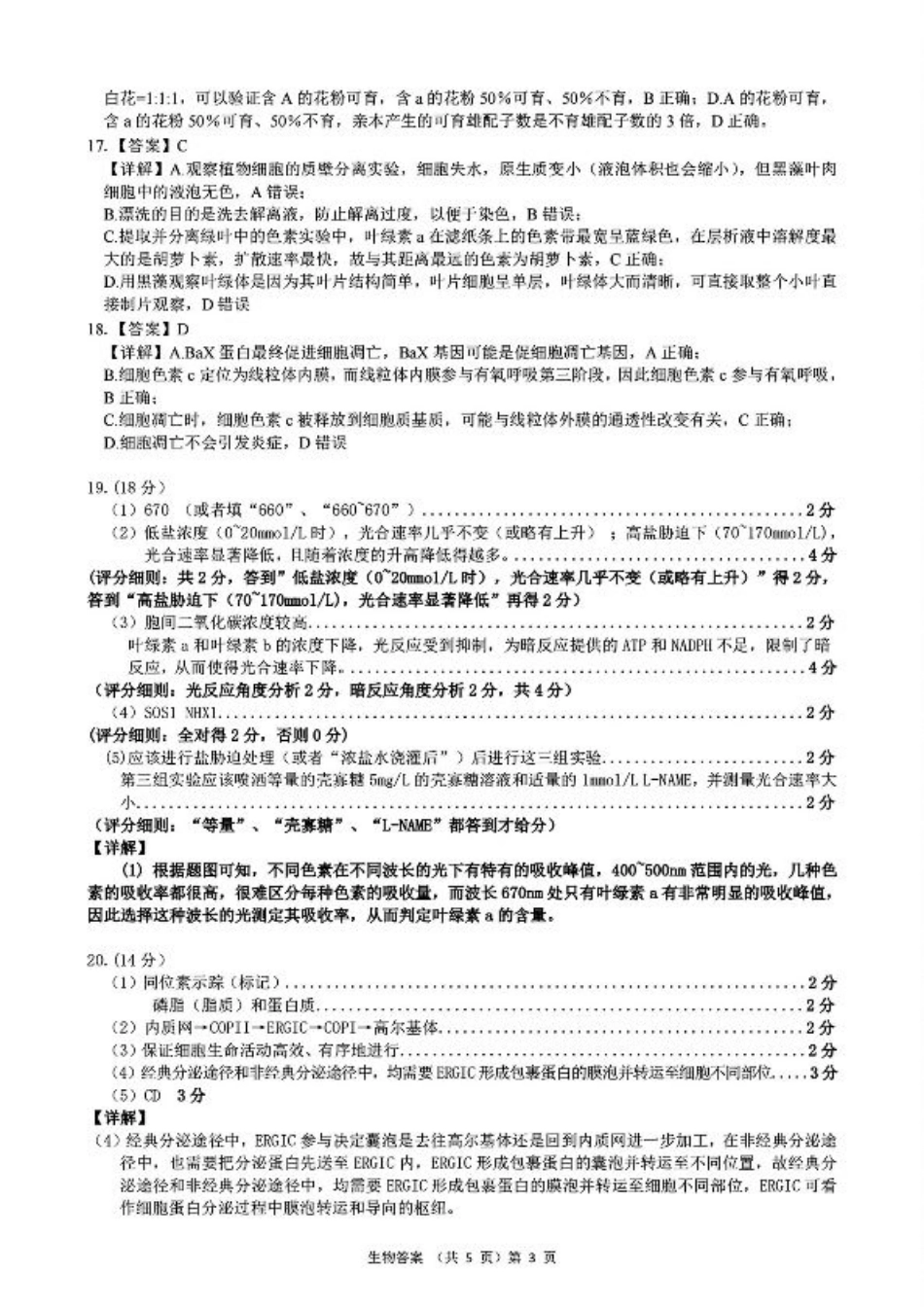 2024年湖北省新八校协作体高三10月联考 生物答案.pdf_第3页