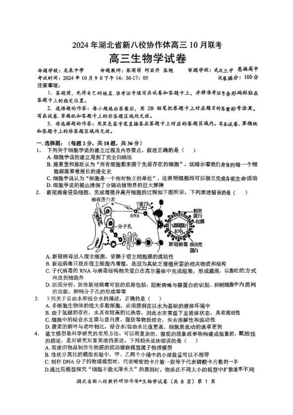 2024年湖北省新八校协作体高三10月联考 生物试卷.pdf_第1页
