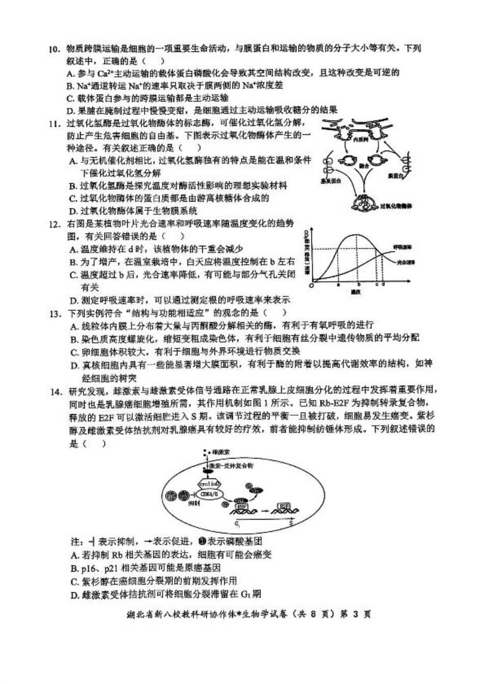 2024年湖北省新八校协作体高三10月联考 生物试卷.pdf_第3页