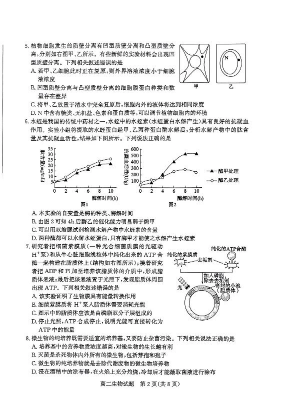 2024年枣庄高二期末 生物试题.pdf_第2页