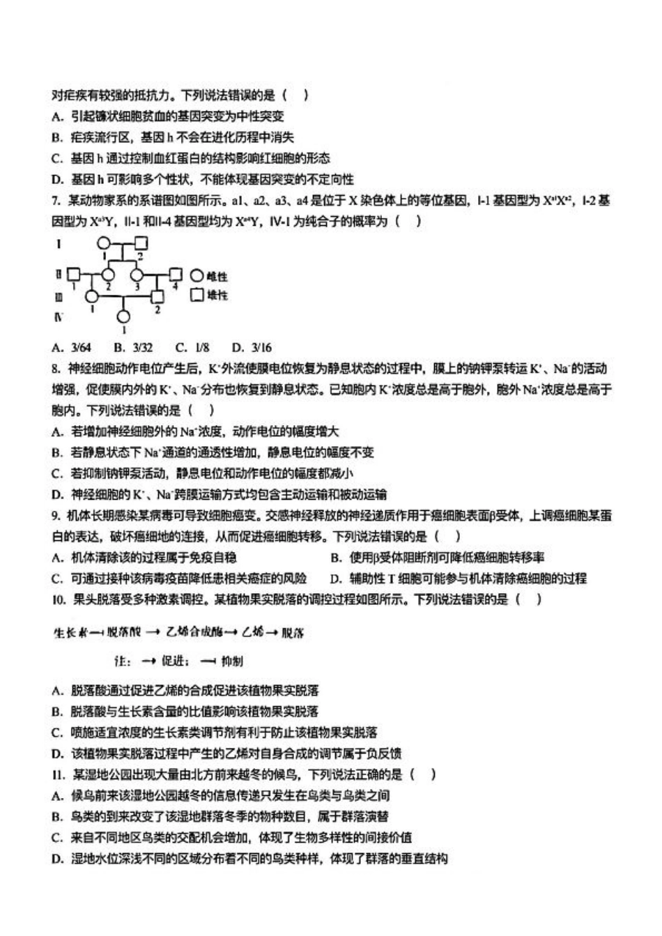 2025《高考真题•山东》生物.pdf_第2页