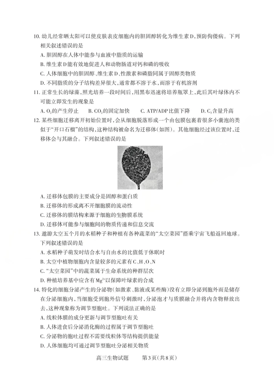 2025-2026学年第一学期高三年级10月学情检测生物.pdf_第3页