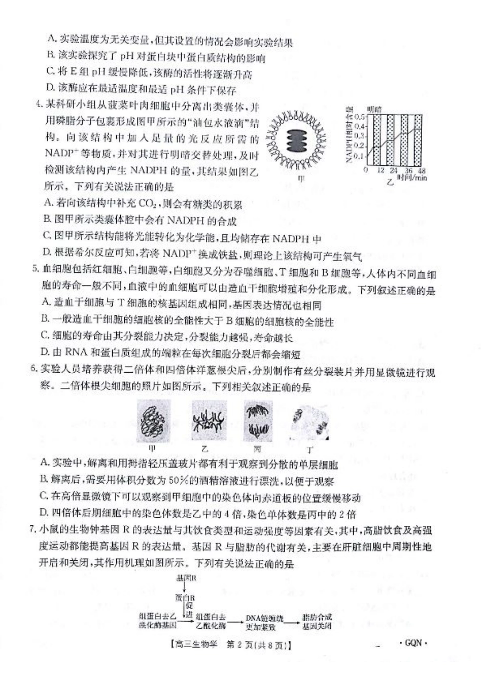 2025届高三11月期中百万联考2001C（甘青宁）生物试题_生物试题.pdf_第2页