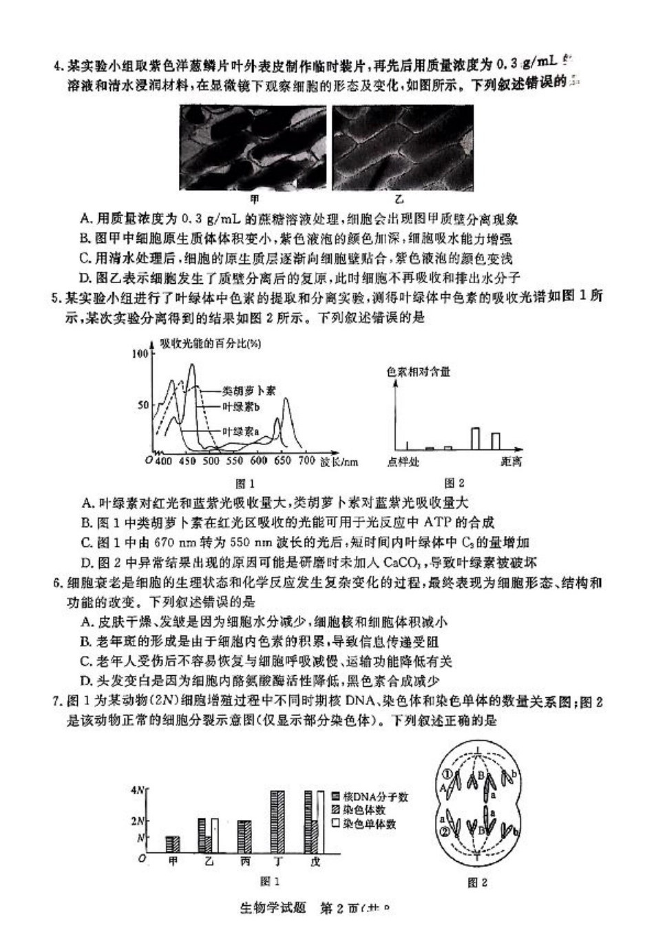 2025届高三金科新未来10月联考 生物试卷.pdf_第2页
