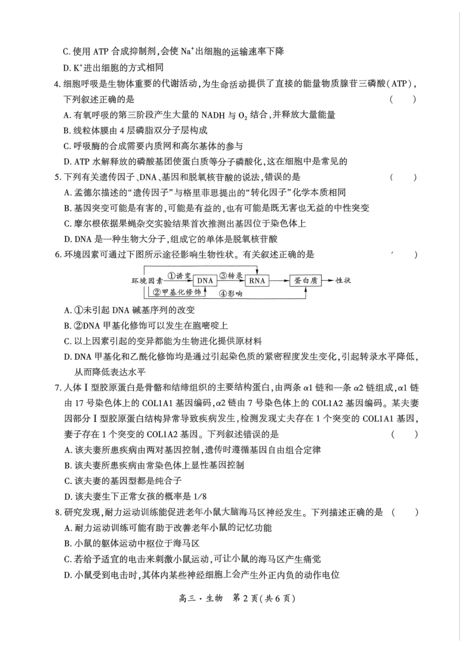 2025届贵州省黔南州高三上学期第一次模拟考试生物试题.pdf_第2页
