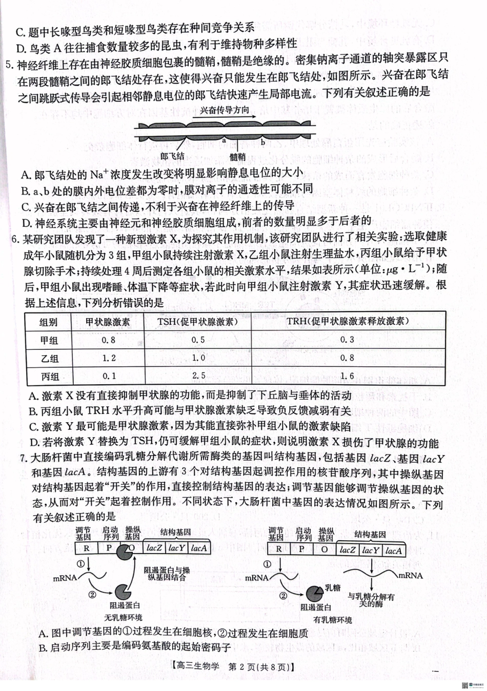 2025届河北省“五个一”名校联盟高三下学期4月联考生物试题（含答案）.pdf_第2页